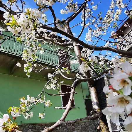 House-2 By Interhome Rezzonico